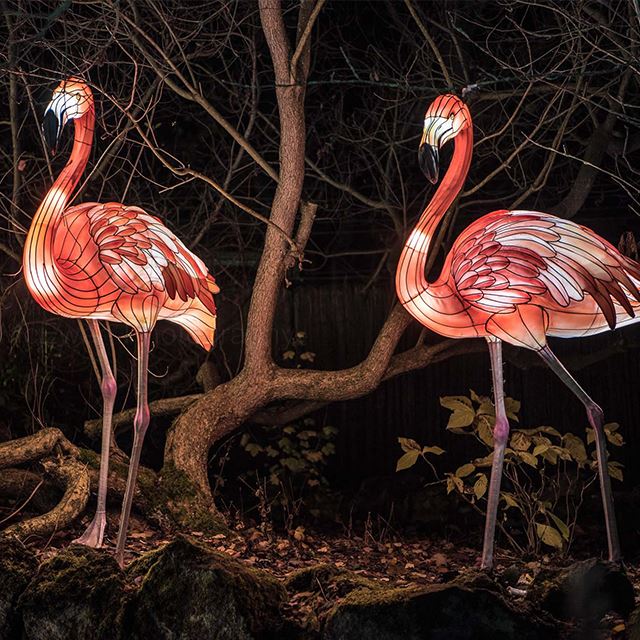Festival Lantern Show Garden Decoration Animal Lantern Flamingo Light